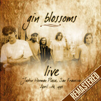 What - Gin Blossoms