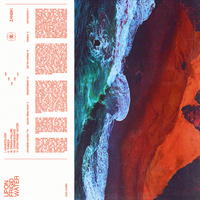Hauntology - Zanski