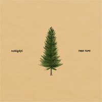 Tree Tops - Nobigdyl.