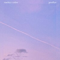 goodbye - Rxseboy, Aidan