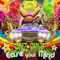 Ease Your Mind - Griz