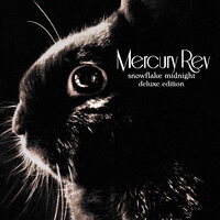 Snowflake In A Hot World - Mercury Rev