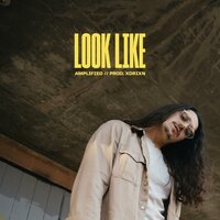 Look Like - Amplified.