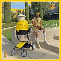 Everything Is Ok - D'Banj