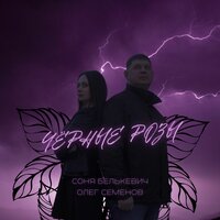 Чёрные розы - Соня Белькевич