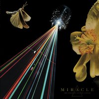 The Seventeen Nineties - Miracle