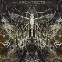 You'll Find Safety - Architects