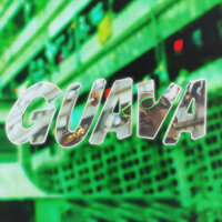 Guava - Chiddy Bang