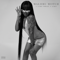 I Like What I Like - Maliibu Miitch