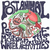 Post Animal
