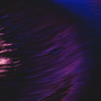 crazy in love - Scott Rill