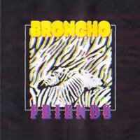 Friends - Broncho
