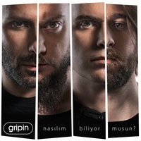 Hiç Utanmadan - Gripin
