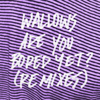Are You Bored Yet? - Wallows, Big Data, Clairo