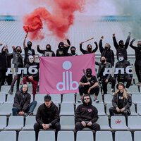 длб - dlb