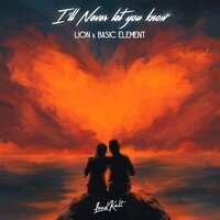 I'll Never Let You Know - Basic Element