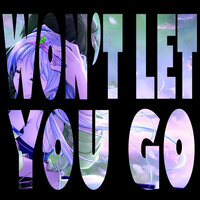 Won't Let You Go - S3RL, Chi Chi