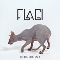 Оставь свой след - Flagi