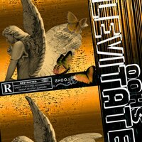 Levitate - SHOO