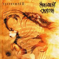 Homicidal Rant - Malevolent Creation