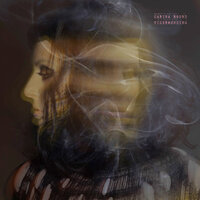 Simplicity Hurts - Carina Round