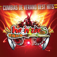 La Jaiba - Hechizeros Band