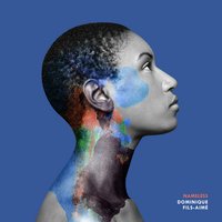 Birds - Dominique Fils-Aimé
