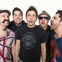 Zebrahead