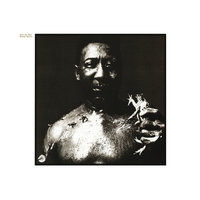 Ramblin' Mind - Muddy Waters