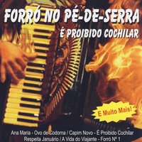 Xote Da Saudade - Trio Virgulino, Elba Ramalho
