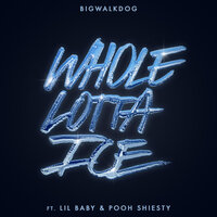 Whole Lotta Ice - Pooh Shiesty, Lil Baby