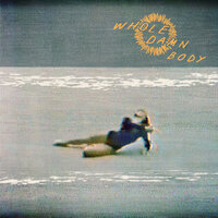 She Crows (Documented Minor Emotional Breakdown #4) - Los Campesinos!