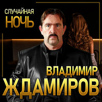 Случайная ночь - Владимир Ждамиров