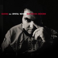 Destination Unknown - Crystal Waters, Gaudino