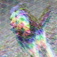 WhenTheWorldCollapses - Nave