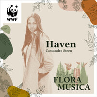 Haven - Cassandra Steen