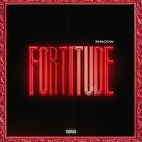 Fortitude - Shadow