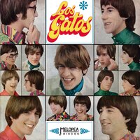 Un Día de Fiesta - Los Gatos