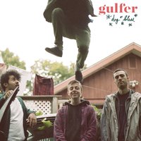 Florida - Gulfer