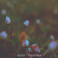 BUCKY