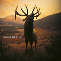I Want It All - Kosheen