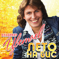 Журавлиный клин - Владимир Цветаев