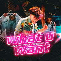 What U Want - Tyga, Coi Leray, Lil Xxel