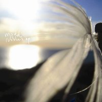 Magpie Eggs - Moddi