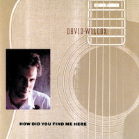 Eye Of The Hurricane - David Wilcox