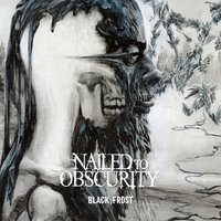 The Aberrant Host - Nailed To Obscurity