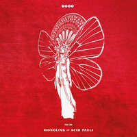 New Morning - Monolink, Acid Pauli