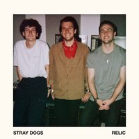 Stray Dogs - Relic