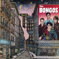 She Starts Shaking - The Bongos