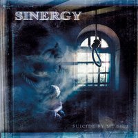 Sinergy